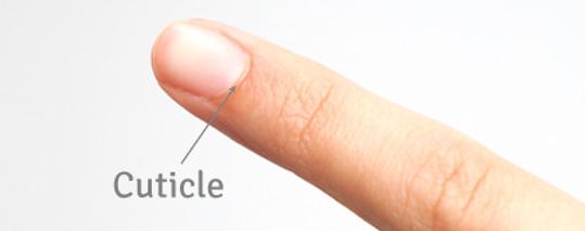 Cuticle Care and Preparation